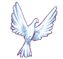 Peace Dove